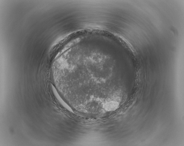 X0000114120919200911161136