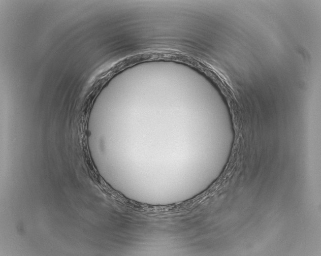 X0000114120920200911161136