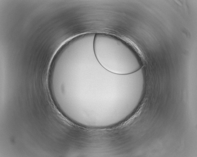 X0000114120924200911161136