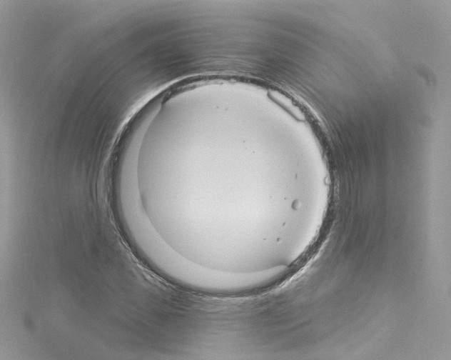 X0000114120925200911161136