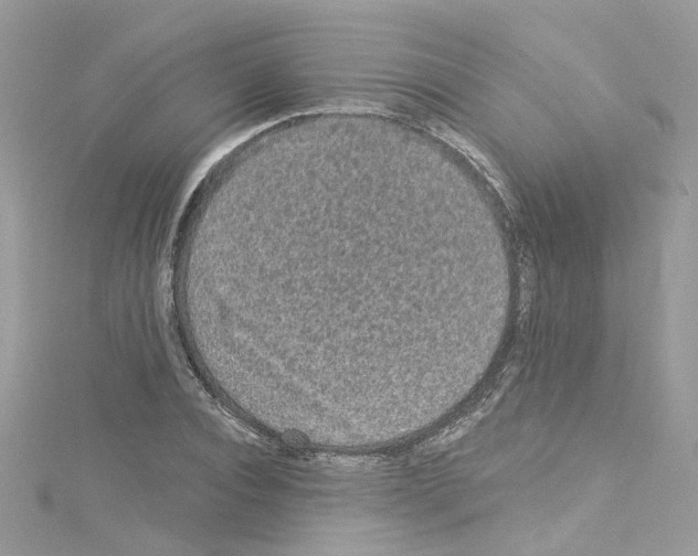 X0000114120928200911161136