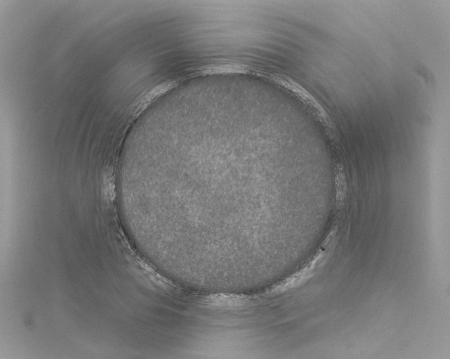 X0000114120929200911161136