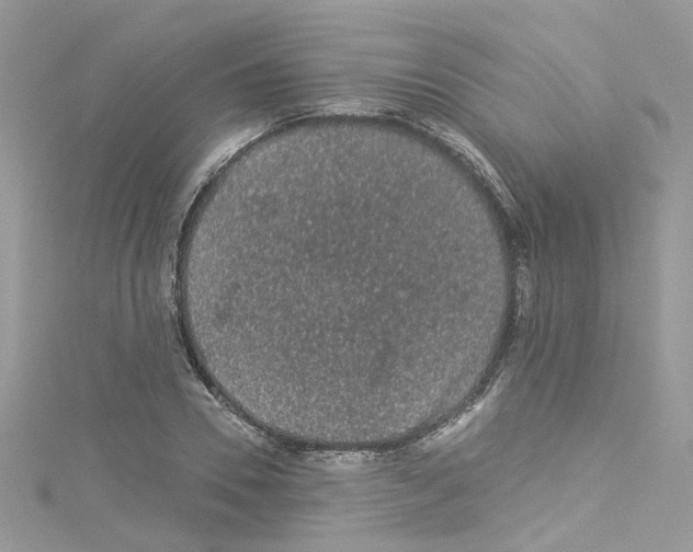 X0000114120930200911161136