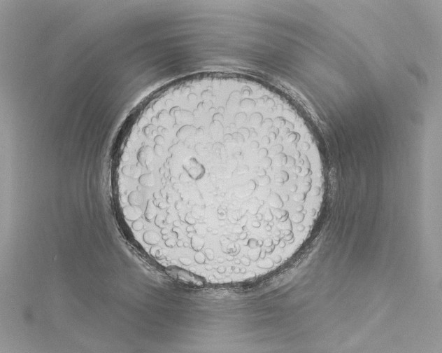 X0000114120931200911161136