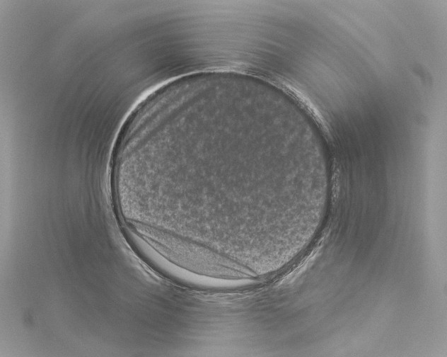 X0000114120932200911161136