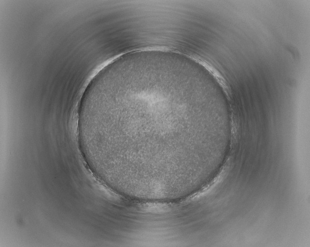 X0000114120933200911161136