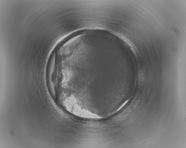 X0000114120935200911161136