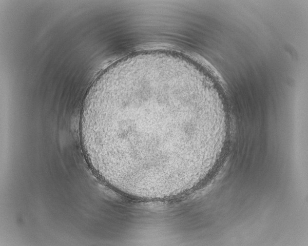 X0000114120937200911161136