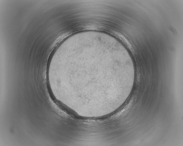 X0000114120938200911161136