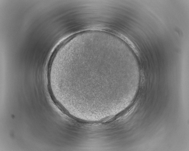 X0000114120939200911161136