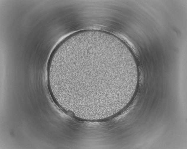 X0000114120940200911161136