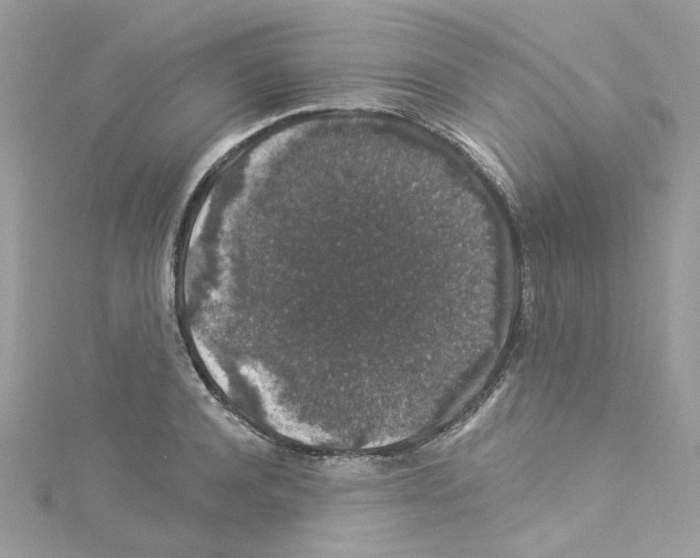 X0000114120944200911161136