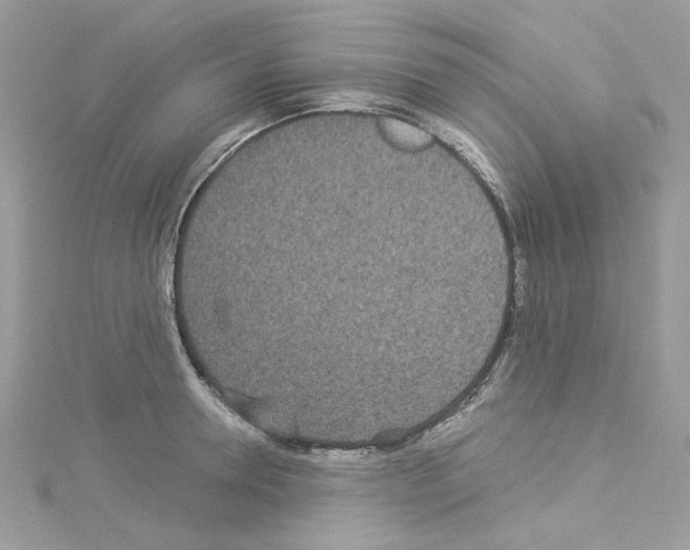 X0000114120946200911161136