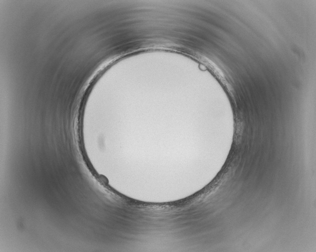 X0000114120947200911161136