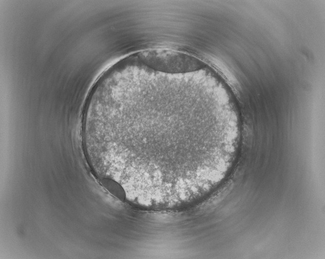 X0000114120948200911161136