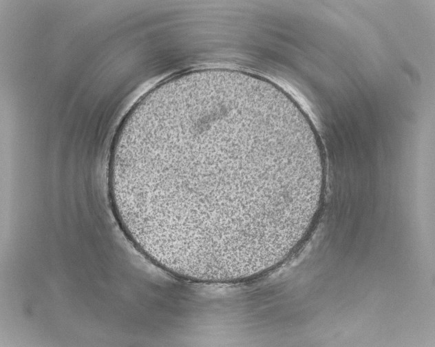 X0000114120949200911161136