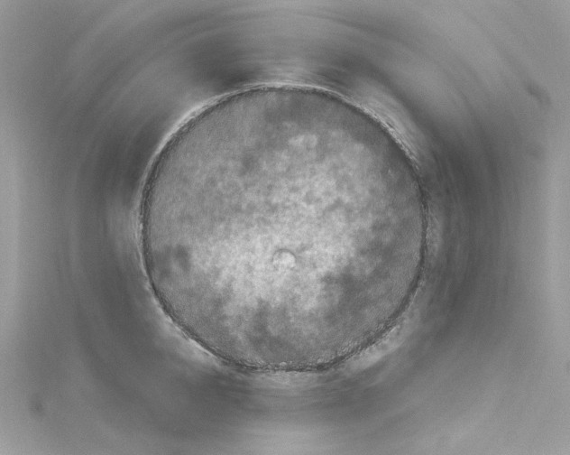 X0000114120950200911161136