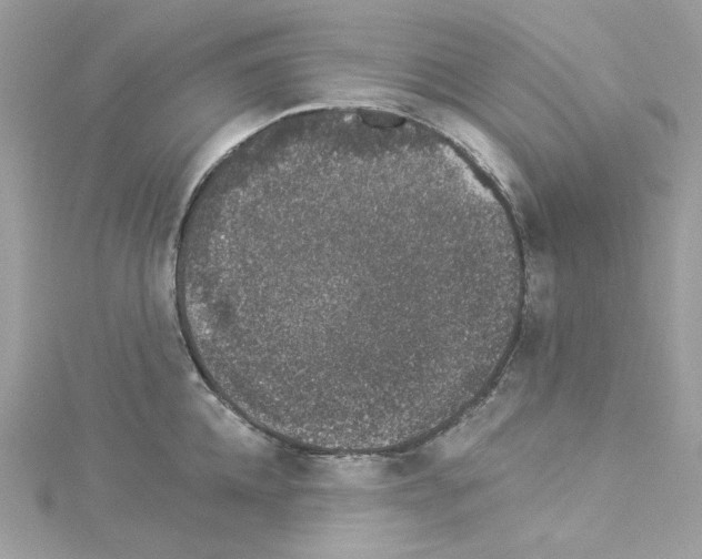 X0000114120952200911161136