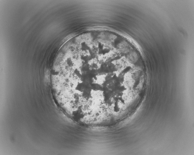 X0000114120953200911161136