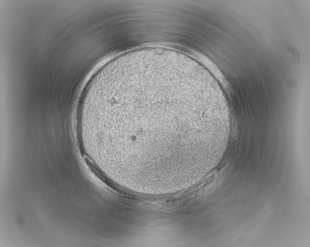 X0000114120955200911161136