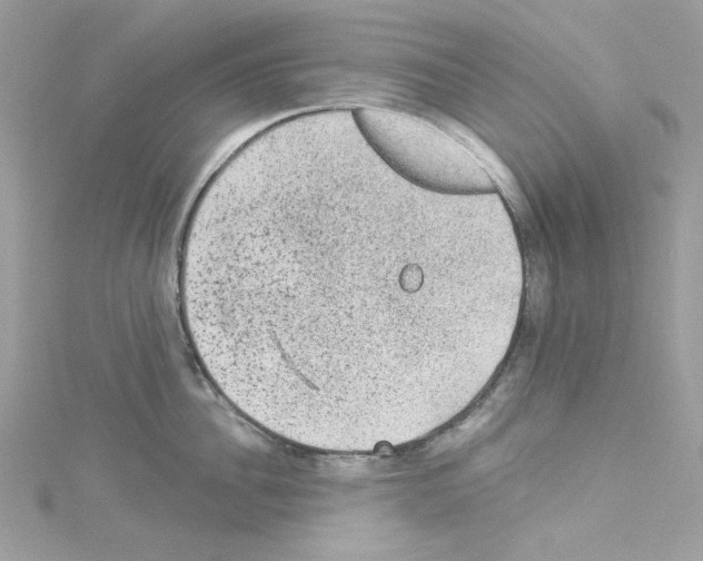 X0000114120956200911161136