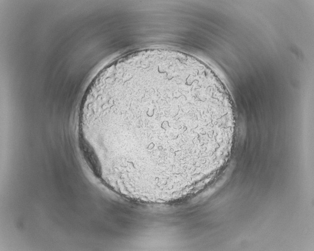 X0000114120957200911161136