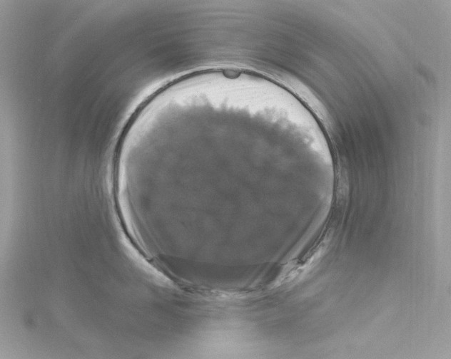 X0000114120958200911161136