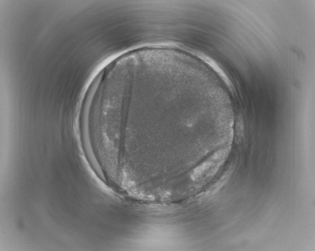 X0000114120959200911161136