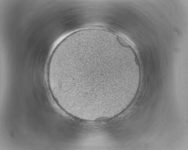 X0000114120960200911161136