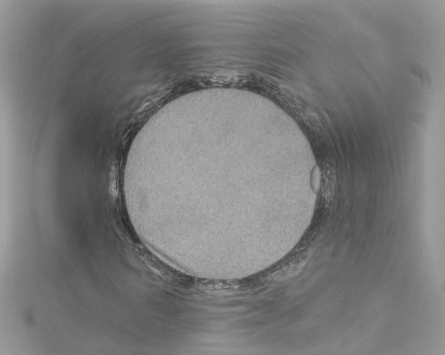 X0000114120962200911161135