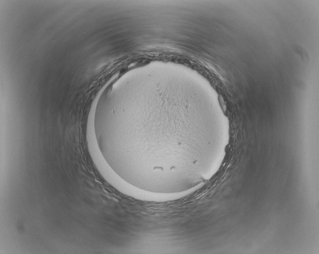 X0000114120965200911161135