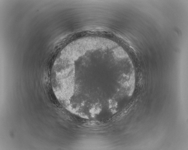 X0000114120966200911161135