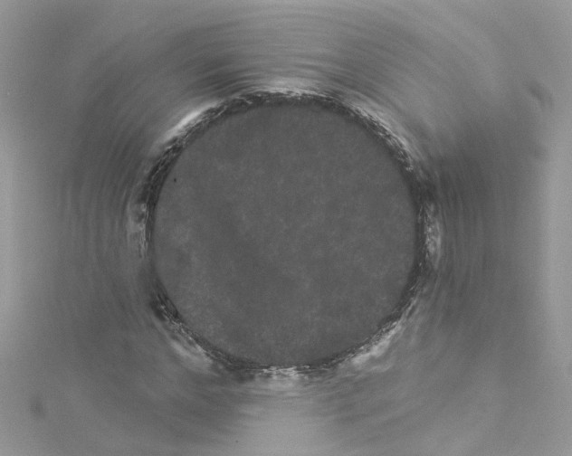 X0000114120968200911161135