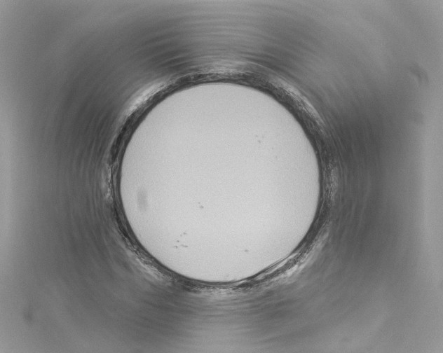 X0000114120970200911161135