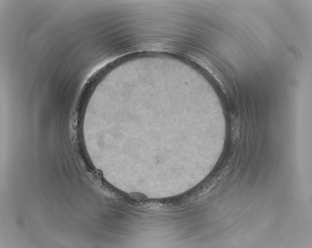 X0000114120971200911161135