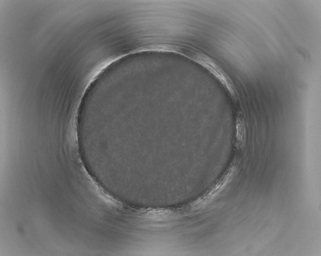 X0000114120972200911161135