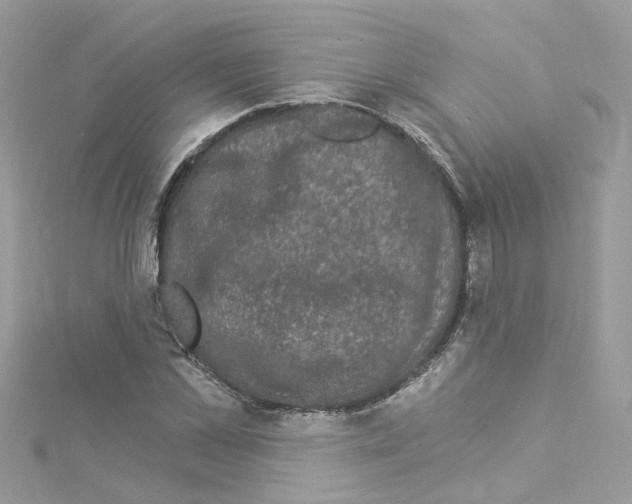 X0000114120973200911161135