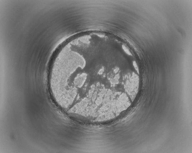 X0000114120975200911161135