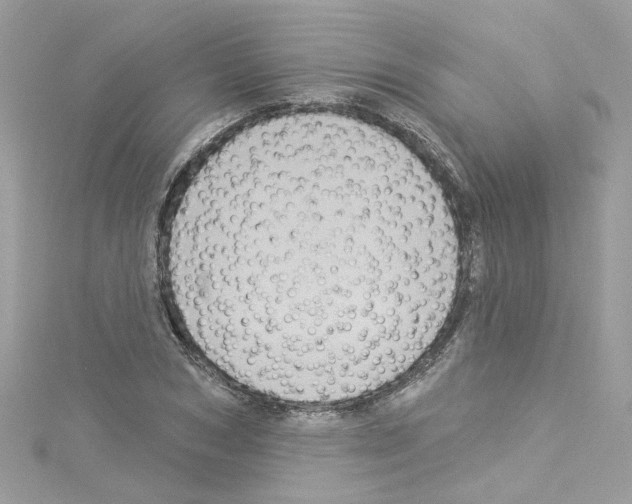 X0000114120978200911161135