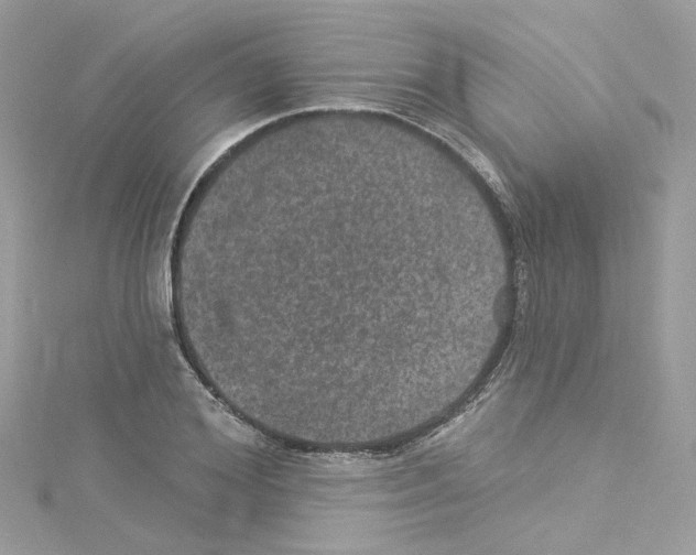 X0000114120980200911161135