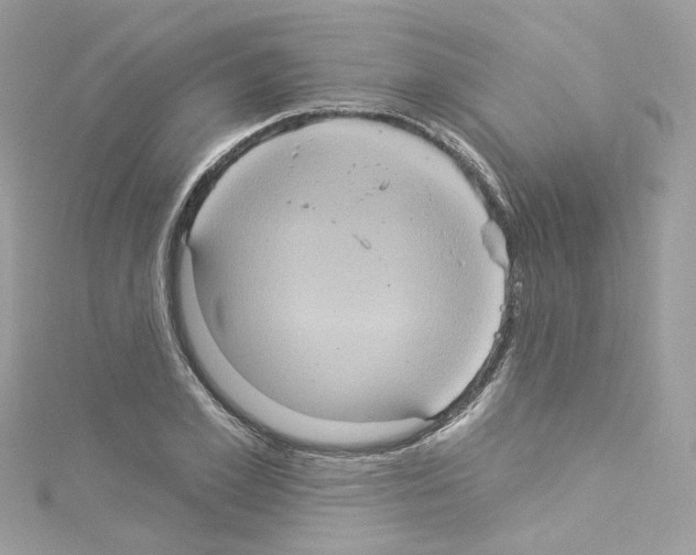 X0000114120981200911161135