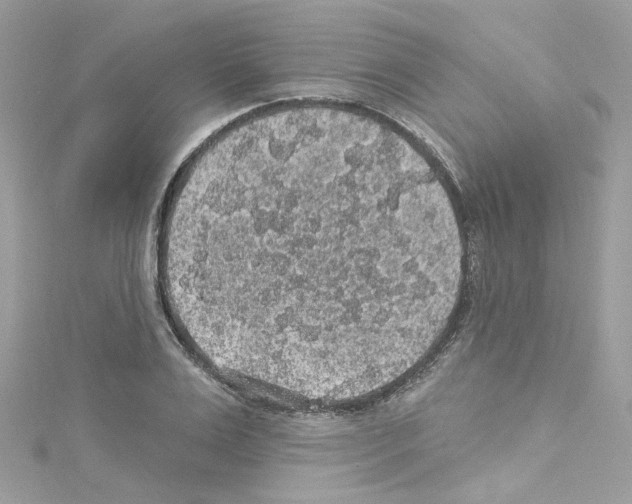 X0000114120983200911161135