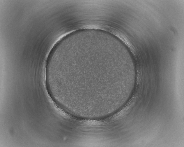 X0000114120984200911161135