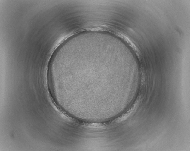 X0000114120986200911161135