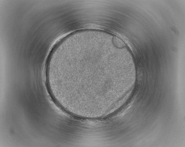 X0000114120987200911161135