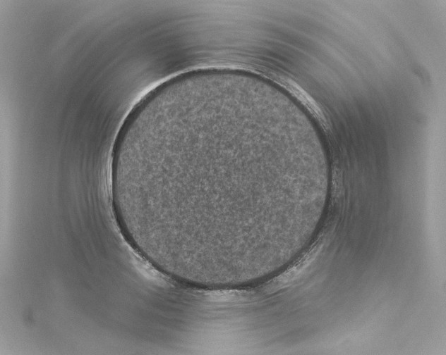 X0000114120988200911161135