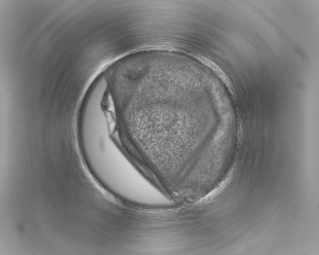 X0000114120989200911161135