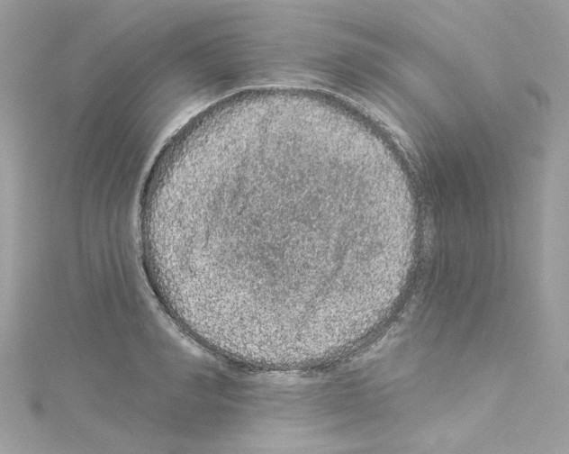 X0000114120990200911161135