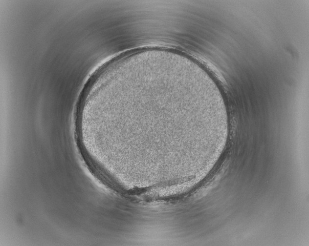 X0000114120991200911161135