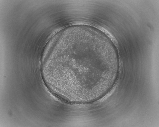 X0000114120993200911161135